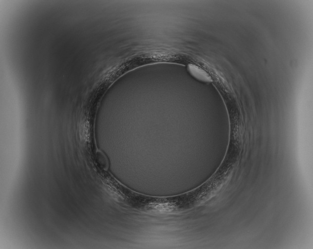 X0000116420689200912150958