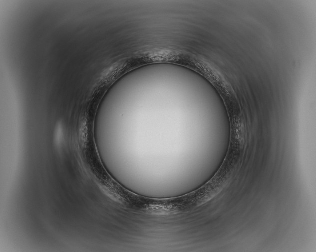 X0000116420690200912150958
