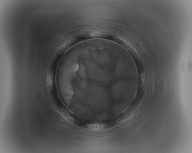 X0000116420691200912150958