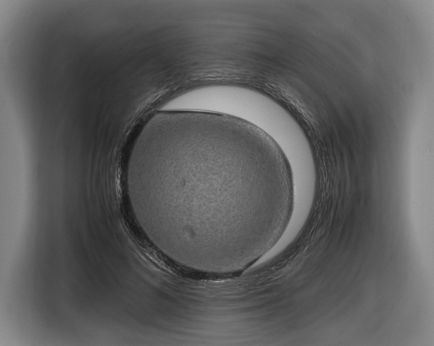 X0000116420692200912150958