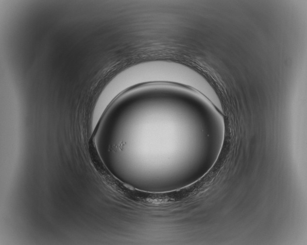 X0000116420693200912150958