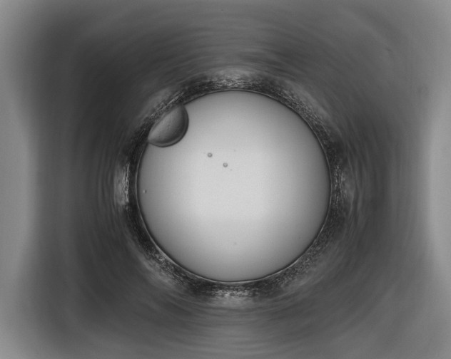 X0000116420694200912150958