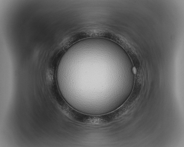 X0000116420695200912150958