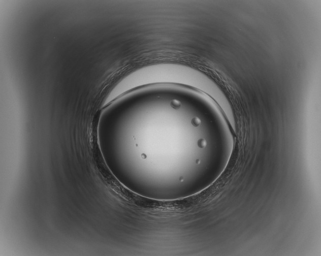 X0000116420696200912150958