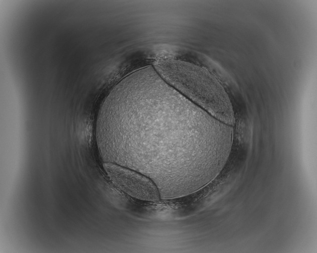 X0000116420697200912150958