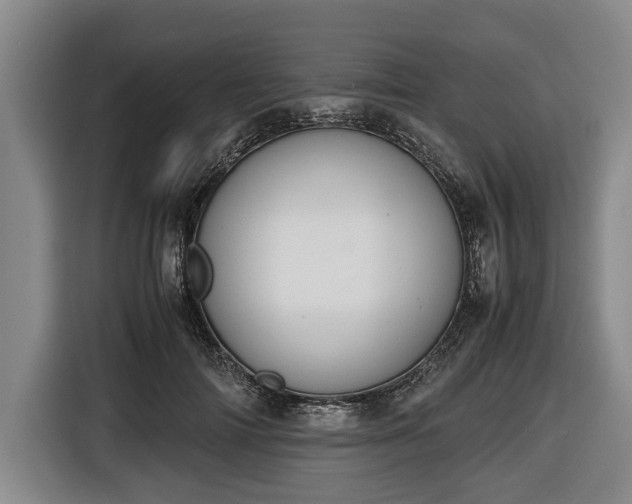 X0000116420698200912150958