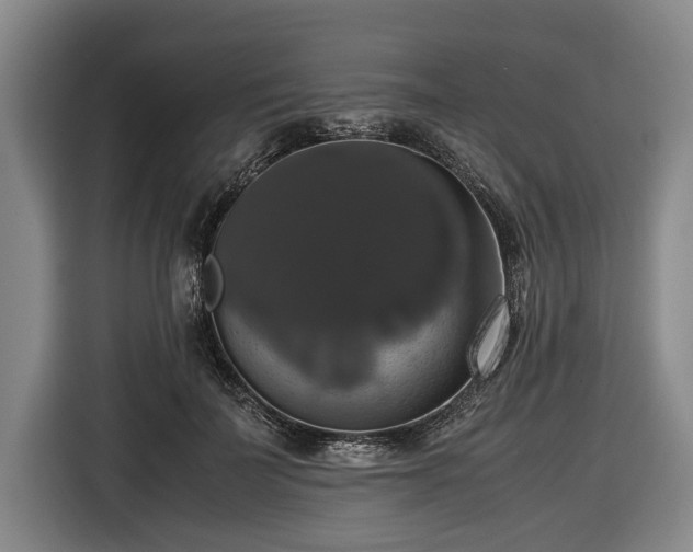 X0000116420699200912150958