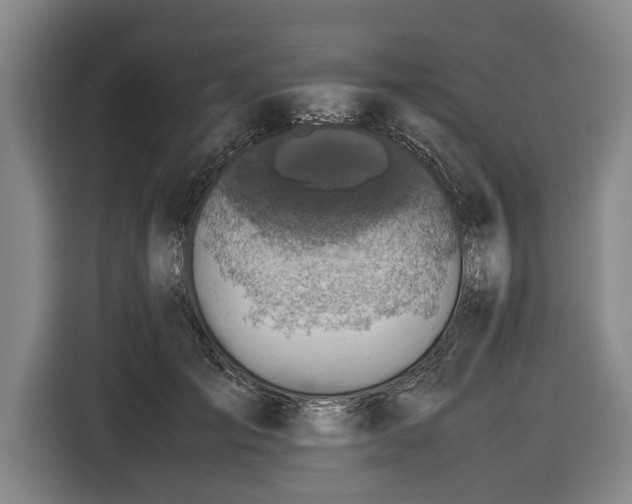 X0000116420701200912150958