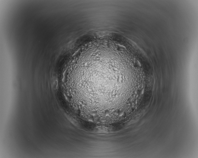 X0000116420703200912150958