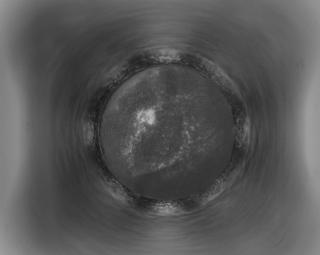 X0000116420704200912150958