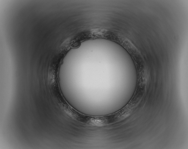 X0000116420706200912150958
