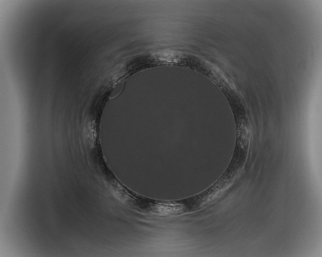 X0000116420707200912150958
