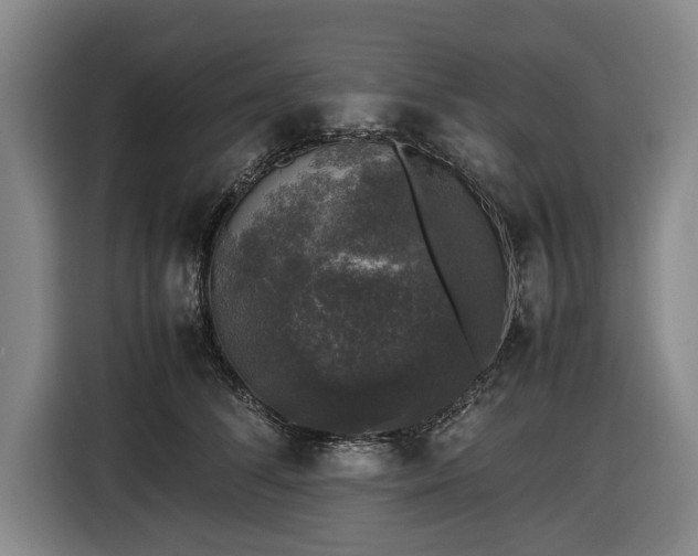 X0000116420708200912150958