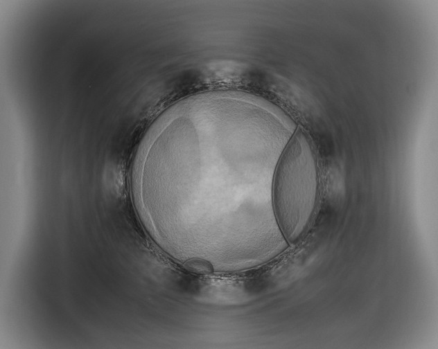 X0000116420709200912150958