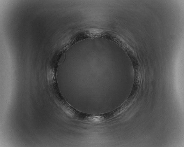 X0000116420711200912150958