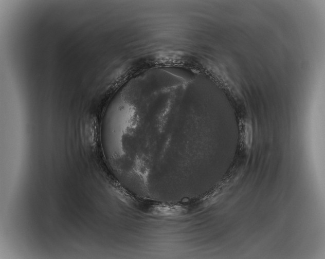X0000116420712200912150958