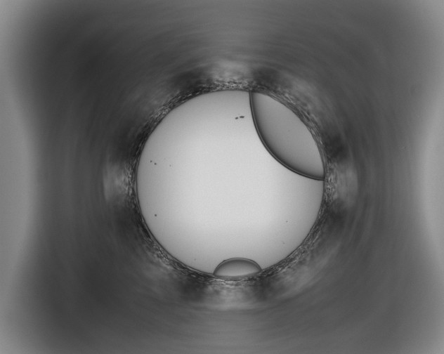 X0000116420713200912150958