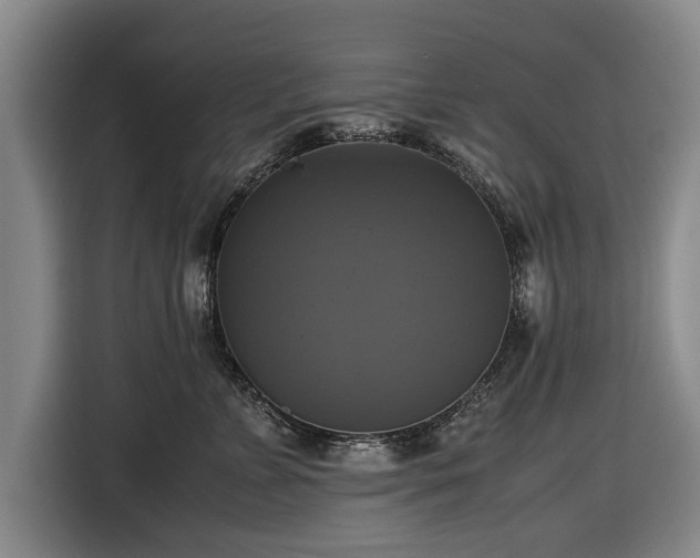 X0000116420715200912150958