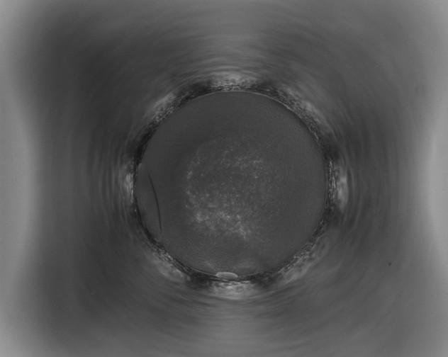 X0000116420716200912150958