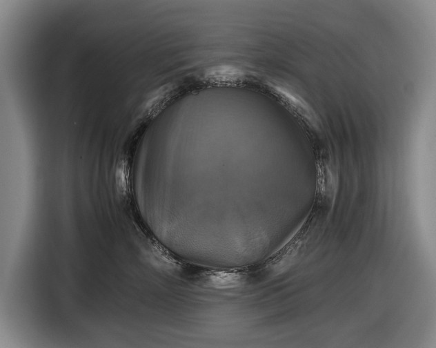 X0000116420718200912150958