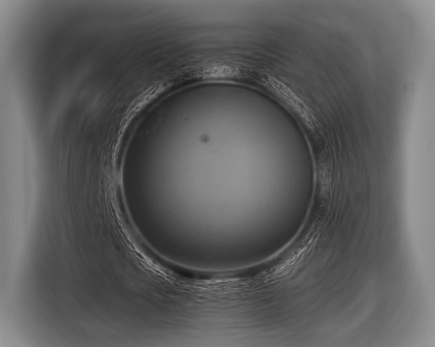 X0000116420721200912150957