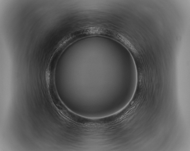 X0000116420722200912150957