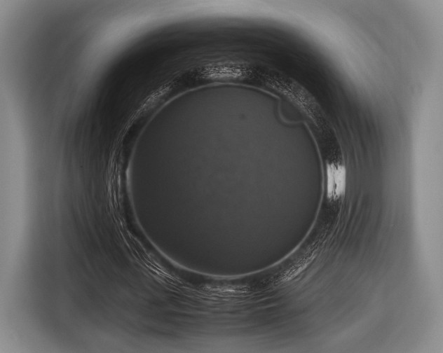 X0000116420723200912150957