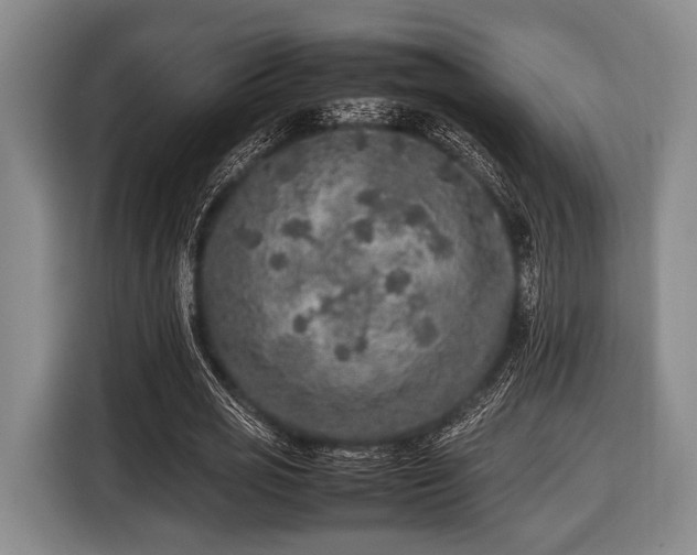 X0000116420725200912150957