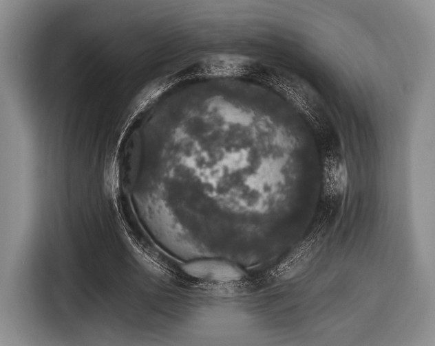 X0000116420726200912150957