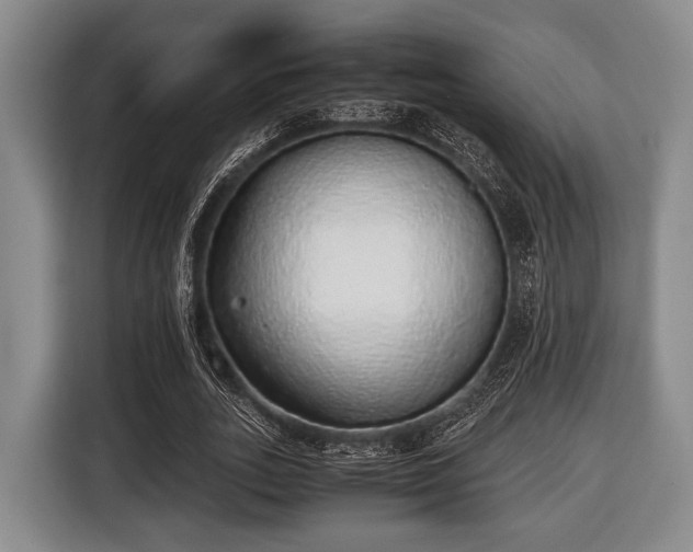 X0000116420727200912150957