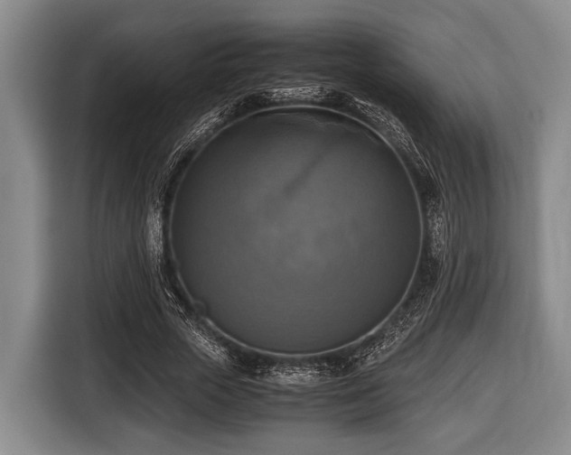 X0000116420729200912150957