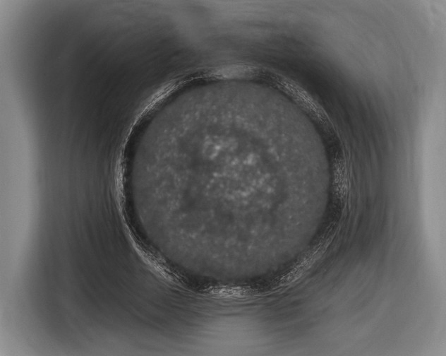 X0000116420730200912150957