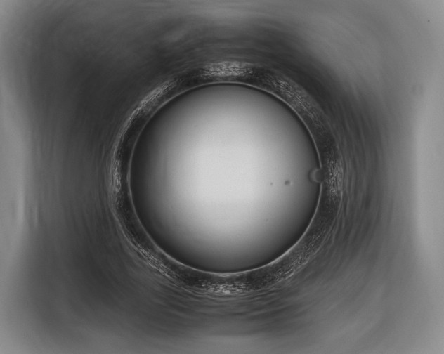 X0000116420731200912150957