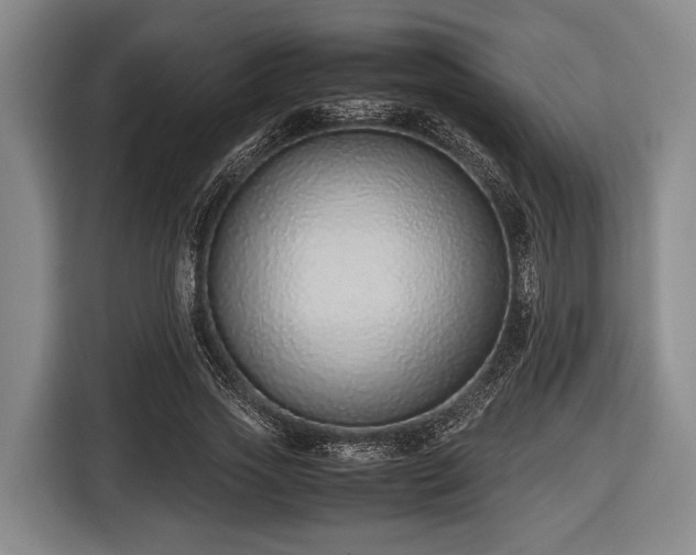 X0000116420733200912150958