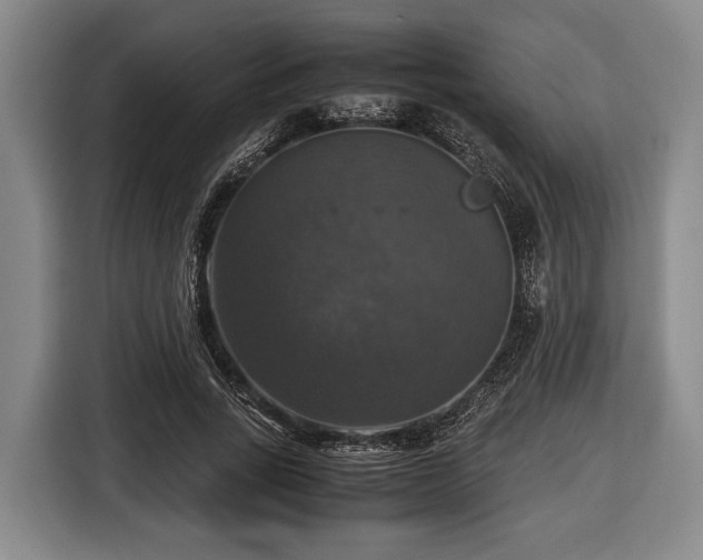 X0000116420735200912150958