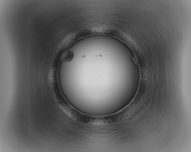 X0000116420738200912150958