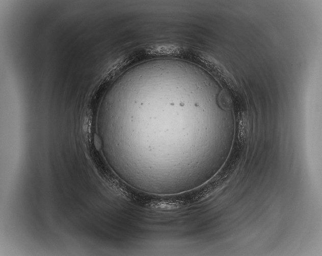 X0000116420739200912150958