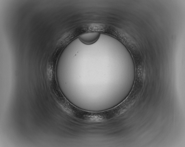 X0000116420741200912150958