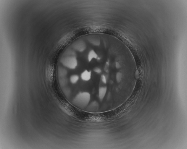 X0000116420742200912150958