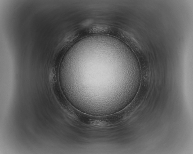 X0000116420743200912150958