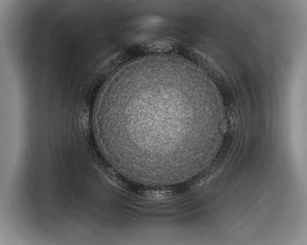 X0000116420745200912150958