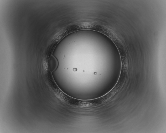 X0000116420746200912150958