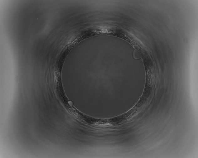 X0000116420747200912150958