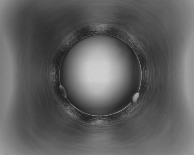 X0000116420750200912150958