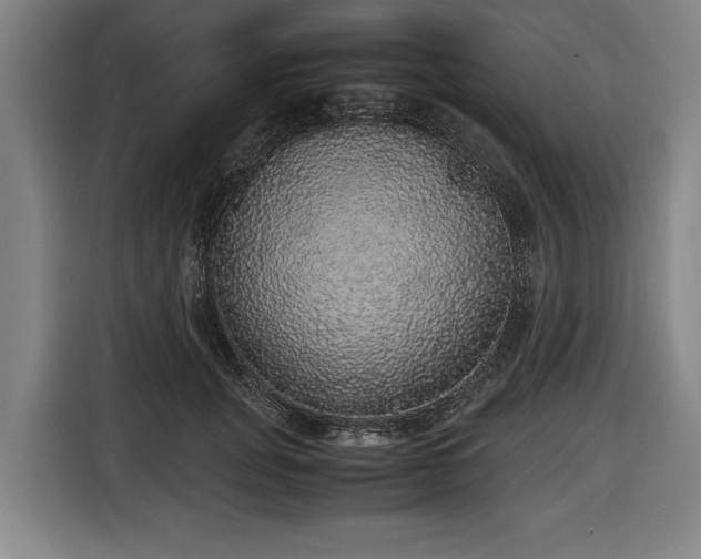 X0000116420751200912150958