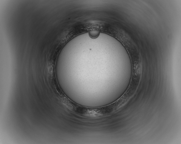X0000116420753200912150958