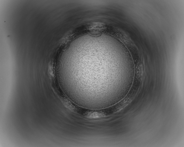 X0000116420755200912150958