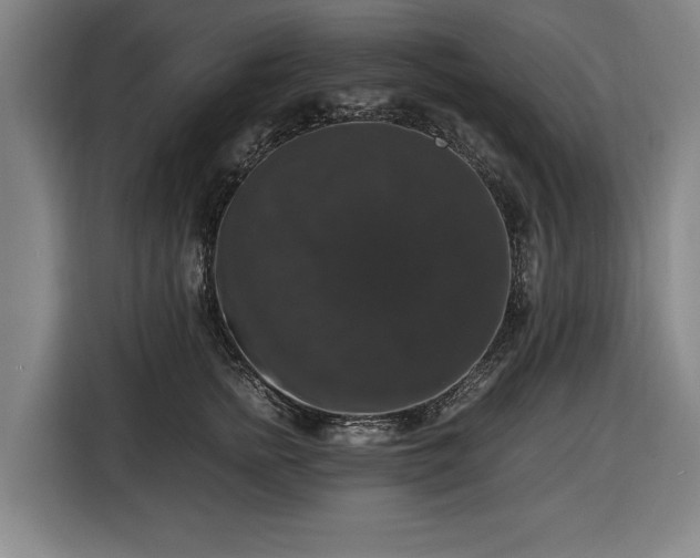 X0000116420758200912150958