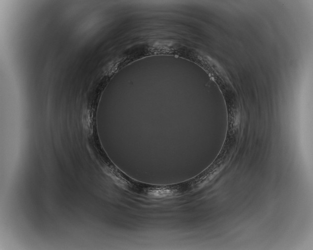 X0000116420759200912150958