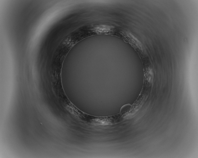 X0000116420763200912150958